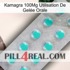 Kamagra 100Mg Utilisation De Gelée Orale 28